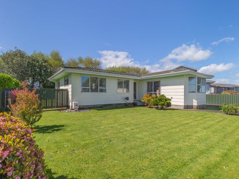 29 Adkin Avenue, Levin, Levin