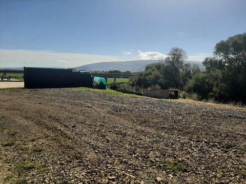 49 Precelly Street, Allanton, Mosgiel