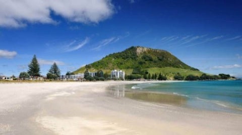 23C Grace Avenue, Mount Maunganui, Mount Maunganui
