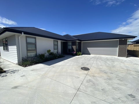 36A Queenwood Road, Levin, Levin