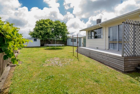 31 Heather Street, Levin, Levin