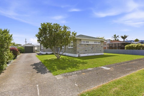 3 Selwyn Street, Levin, Levin