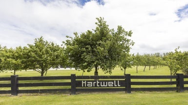 60 Hartwell Drive, Kelvin Grove, Palmerston North