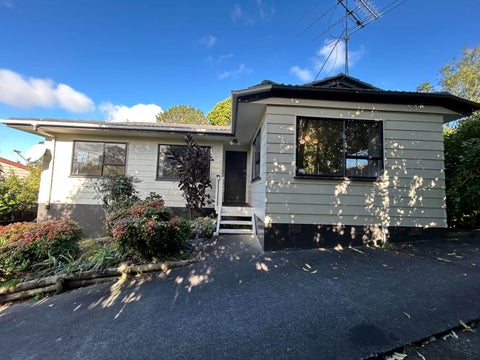 41 Holmes Drive South, Massey, Auckland