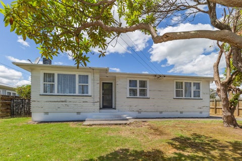 16 Ferguson Street, Levin, Levin