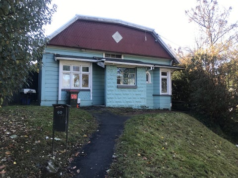60 Bank Street, North East Valley, Dunedin