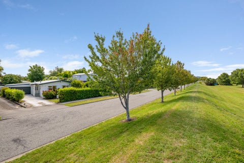 14 Brook Street, Springlands, Blenheim