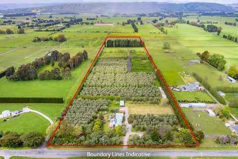179 Bidwills Cutting Road, Morison Bush, Greytown