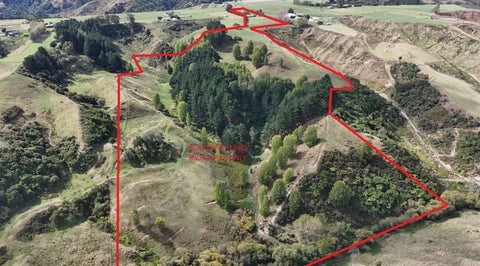169 Campbell Road, One Tree Hill, Auckland