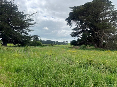 0 Woodlands Road, Woodville, Woodville