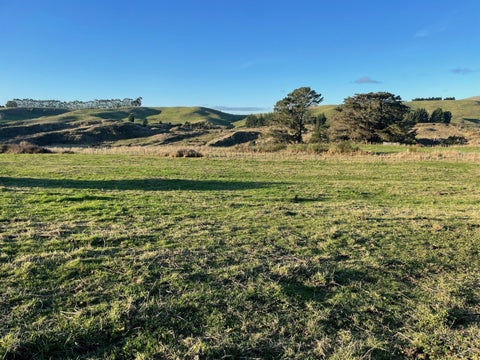 26 Carr Street, Dannevirke, Tararua, Manawatu / Whanganui