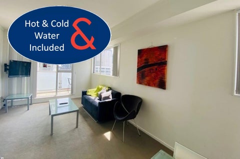 1010/207 Federal Street, Auckland Central, Auckland