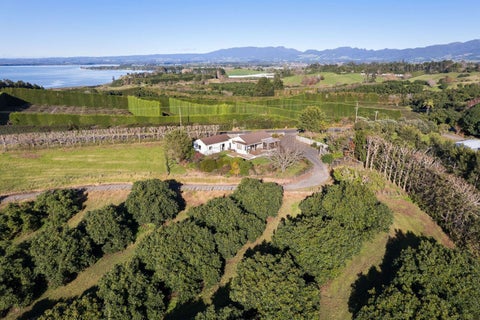 3/303 Point Chevalier Road, Point Chevalier, Auckland