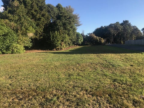 9 Findlay Street, WAIMARINO, OWHANGO