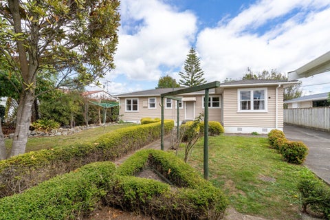 42 Elizabeth Street, Levin, Levin