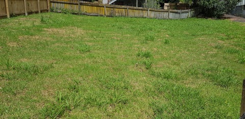 6C Rautawhiri Road, Helensville, Helensville
