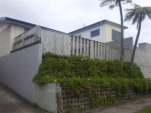 46 Lemon Street, New Plymouth, New Plymouth