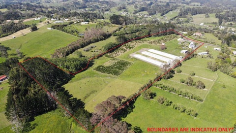 69 Puke Road, Kumeu