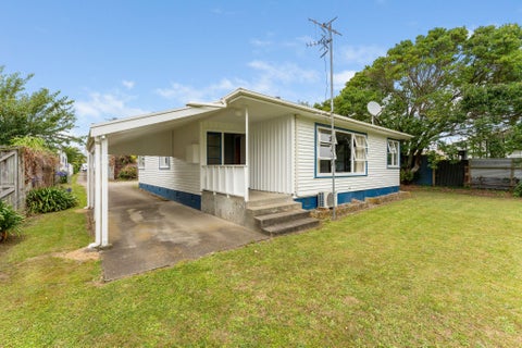 20A McKenzie Street, Levin, Levin