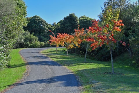 12 Oakdale Drive, Kinloch, Taupō