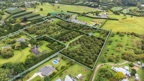 139 Munro Road, Minden, Tauranga