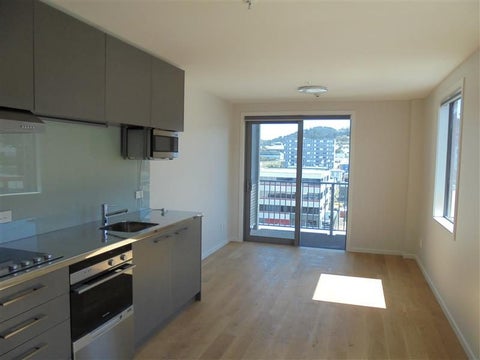 303/8 Wigan Street, Te Aro, Wellington