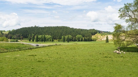 0 River Road, Otane, Otane