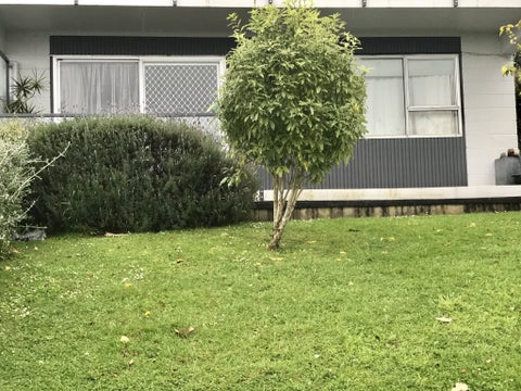 3/9 Strong Street, St Johns, Auckland
