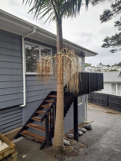 2/51 Fruitvale Road, New Lynn, Auckland