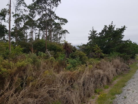 274 Utopia Road, Westport, Westport