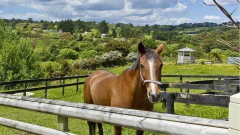 35 Mill Flat Road, Albany