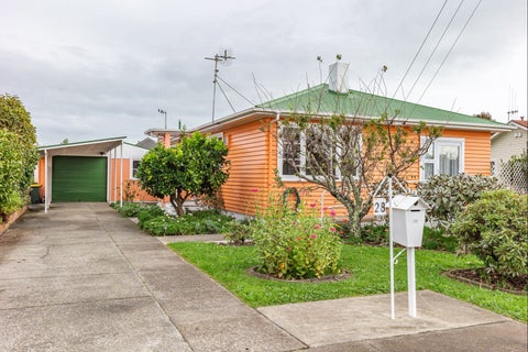 28 Power Street, Levin, Levin