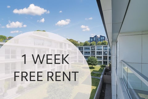 S105/28 Torrens Terrace, Mount Cook, Wellington