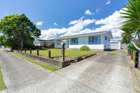 33 Solway Street, Levin, Levin