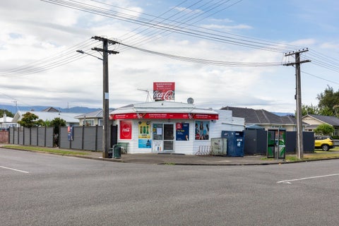 2 Middlesex Street, Levin, Levin