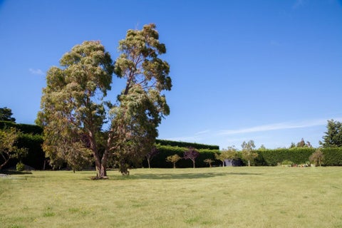 159D Lowes Road, Rolleston, Rolleston