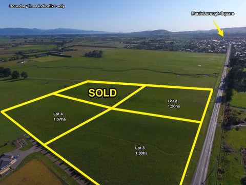 154 Martinborough Pirinoa Road, MARTINBOROUGH, Martinborough