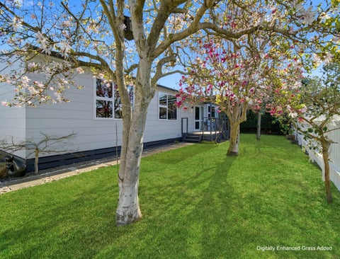 804 Francis Hicks Avenue, Raureka, Hastings