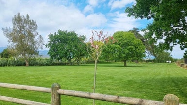 15 Lindsay Road, Levin, Levin