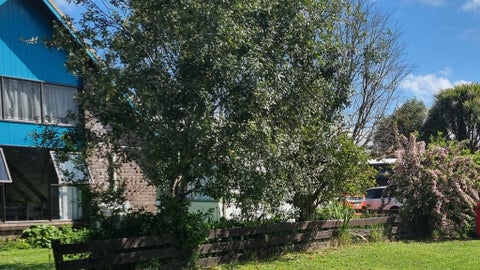 26 Wenlock Street, Waihi, Waihi