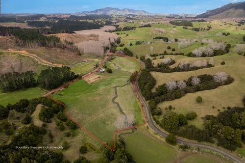 938 Kirikopuni Valley Road, Tangiteroria