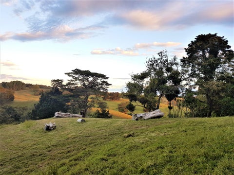 986 Wainui Road, Wainui, Wainui