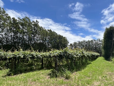 123A Wiroa Road, Kerikeri, Kerikeri