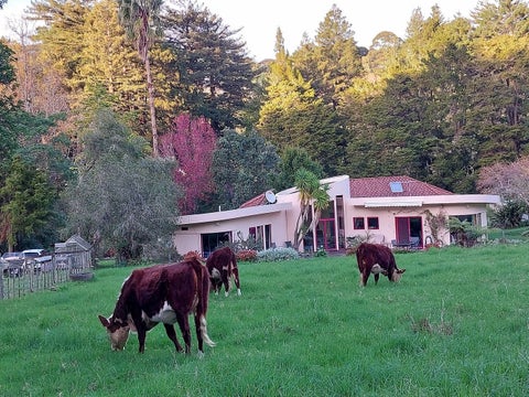 270 Maunu Road, Horahora, Whangarei