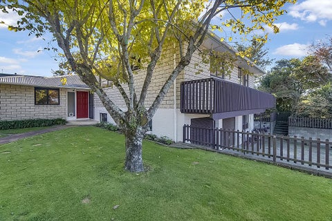 21 Ngahere Street, Inglewood, Inglewood