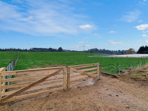 0 Mill Road, Waimate, Waimate