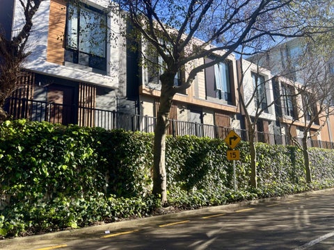5/97 Taranaki Street, Te Aro, Wellington