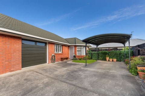 10B Elizabeth Street, Palmerston North, Palmerston North