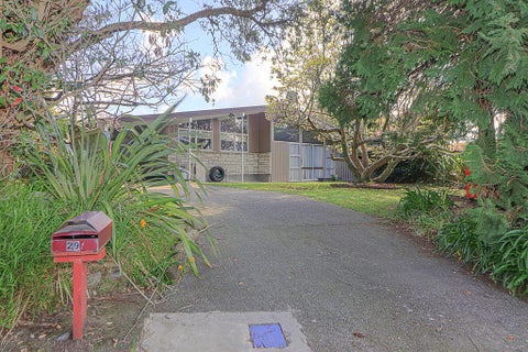 29 Argyle Avenue, Levin, Levin