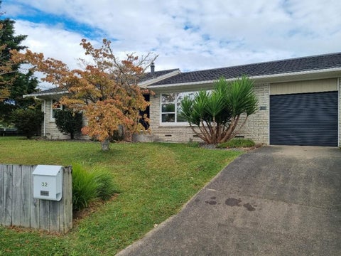 32 Michael Avenue, Dinsdale, Hamilton